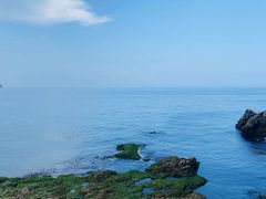 -摩天岭风景区