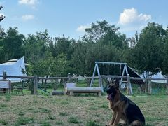 -爪吧宠物乐园 (温榆河示范区店)