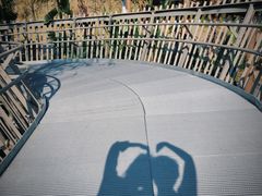 -福道