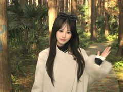 -黄海国家森林公园