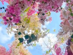 -名花谷生态庄园