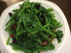 -都江堰石锅鱼