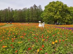 -上海共青森林公园