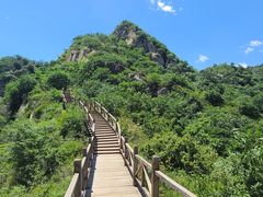 -大岭沟猕猴桃谷风景区