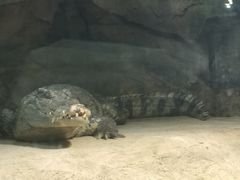 -哈尔滨波塞冬海底世界