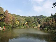 -云溪植物园
