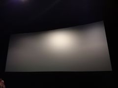 -AMG海上明珠影城(上海环球港RealDCinema店)