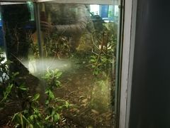 -上海昆虫博物馆