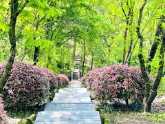 -南京市江宁方山