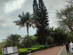 -南宁南湖公园