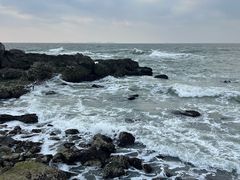 -养马岛旅游度假区