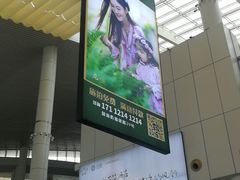 -国际邮轮中心码头(厦鼓码头)