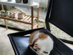 -黑胶星球(华发中城商都店)