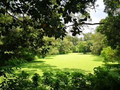 -南宁良凤江国家森林公园