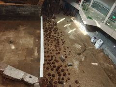 -元代水闸遗址博物馆