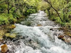 -九寨沟-树正沟