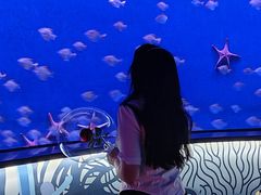 -沈阳海洋探索中心