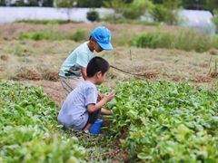 -前小桔亲子创意农场·草莓采摘·露营烧烤