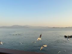 -深圳湾公园(南山区)