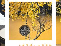 -西园寺