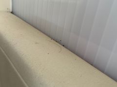 -UNIUNI(凯瑟琳广场店)