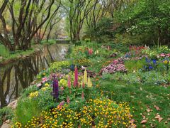 -上海共青森林公园