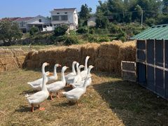 -趣飞飞黑麋峰国际滑翔伞基地