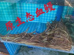 -欧记·龙城港(欣都店)