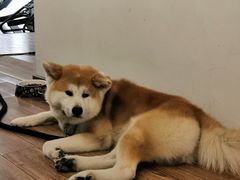 -YCHL Studios健身工作室(市二宫店)