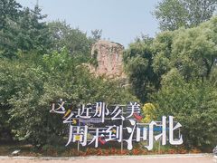 -秦皇岛野生动物园