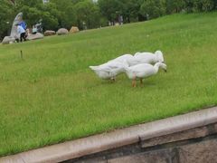 -中国计量大学(西校区)