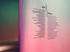 -上海当代艺术博物馆