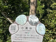 -野象谷景区