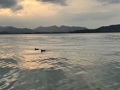 -杭州湖滨in77