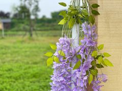-梁子湖东篱老屋生态庄园