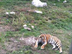 -西安秦岭野生动物园