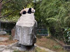 -宁波野生动物园