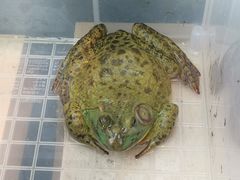 -盒马鲜生(宝地店)