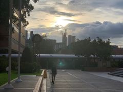 -香港理工大学
