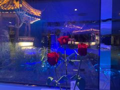 -九献创意菜·新中式(亮马河花园私宴店)