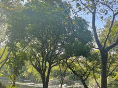 -上海吴淞炮台湾国家湿地公园