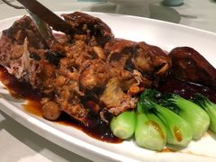 -蝶园·装修中(BFC外滩金融中心店)