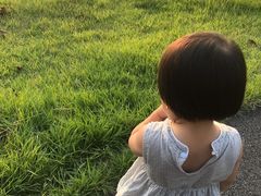 -贡湖湾湿地公园