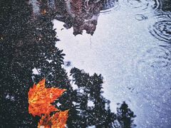 -玺尊龙·云岭四季(西南店)