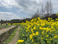 -八卦田遗址公园