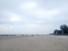 -贝壳沙滩