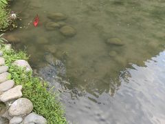 -成都杜甫草堂博物馆