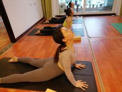 -Yvon yoga 瑜伽·精准体态管理中心