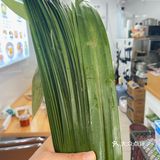 带我来这家小店吃糖水的人❗️是希望我一直幸福吧