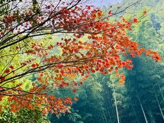 -天目湖御水温泉·度假酒店